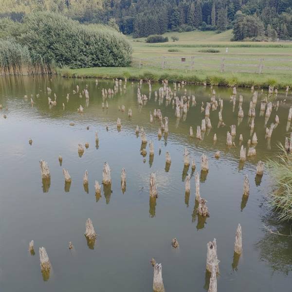 BaitoneAlpino empfehlt: Pfahlbauten von Fiavé